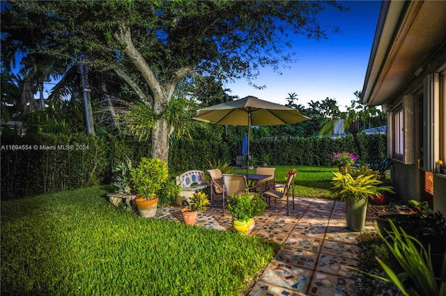 view of yard featuring a patio area