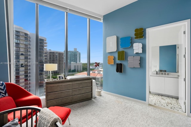 carpeted bedroom with floor to ceiling windows