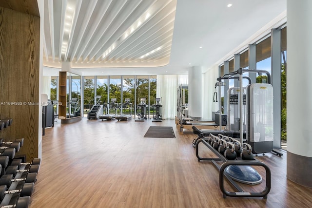 workout area featuring hardwood / wood-style flooring and expansive windows