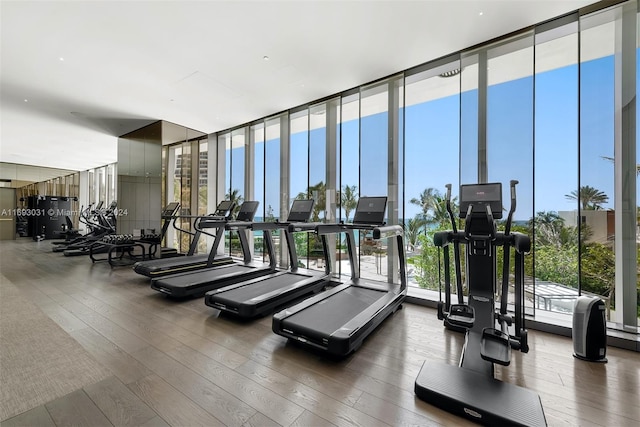 workout area featuring wood-type flooring and a wall of windows