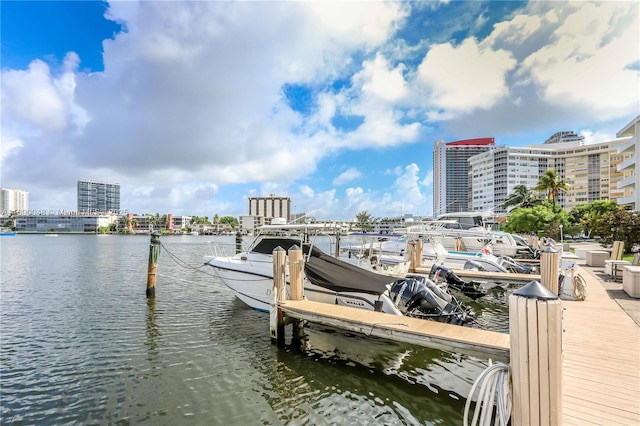 dock area with a water view