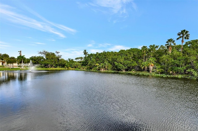 view of water feature