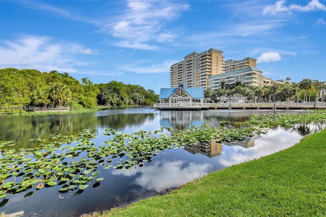 property view of water