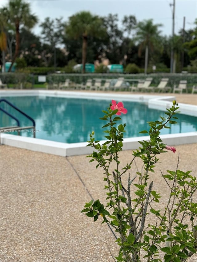 view of swimming pool