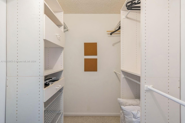 spacious closet with carpet flooring