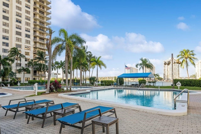 view of pool with a patio area