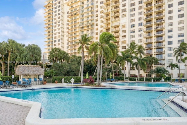 view of swimming pool with a patio