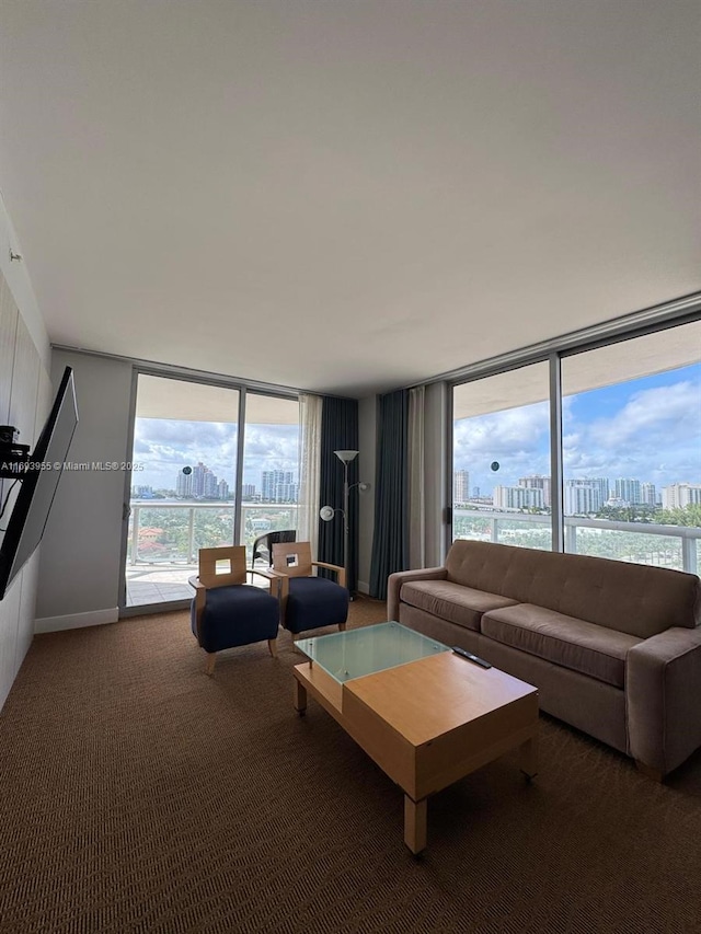 living room with carpet floors and floor to ceiling windows