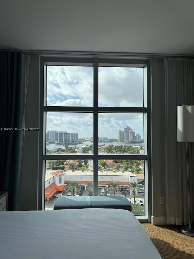 bedroom featuring floor to ceiling windows