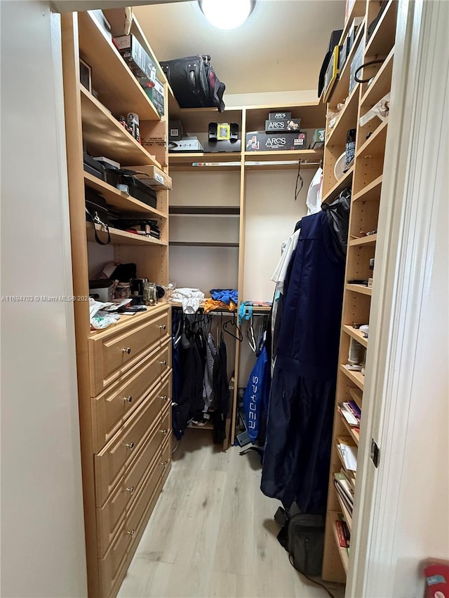 spacious closet with light hardwood / wood-style floors