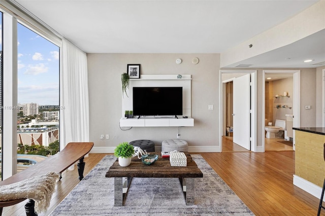 living room with hardwood / wood-style flooring