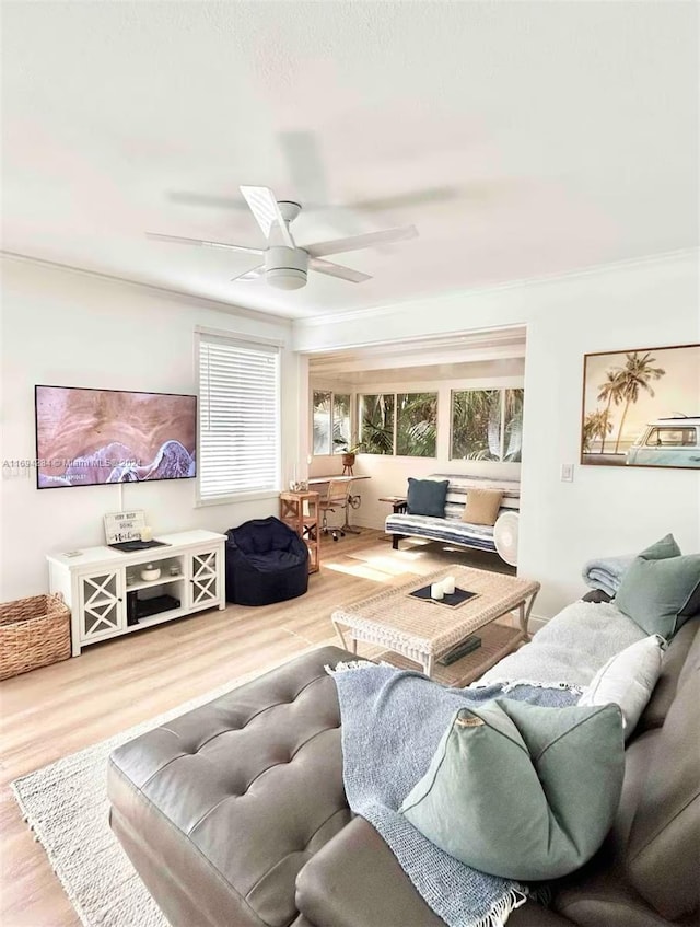 living room featuring hardwood / wood-style floors, ceiling fan, and ornamental molding