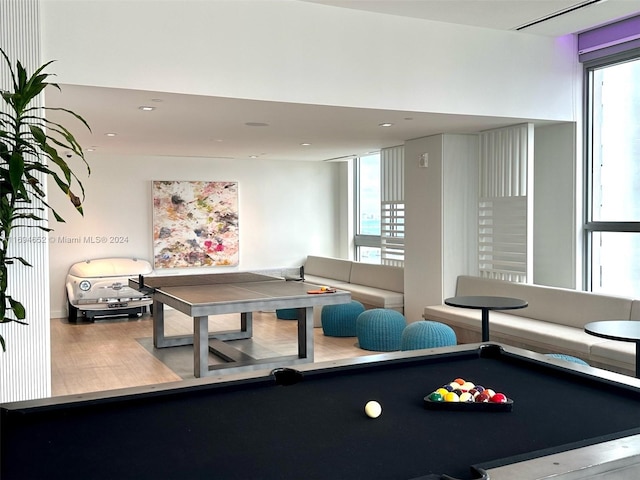 rec room featuring wood-type flooring and pool table