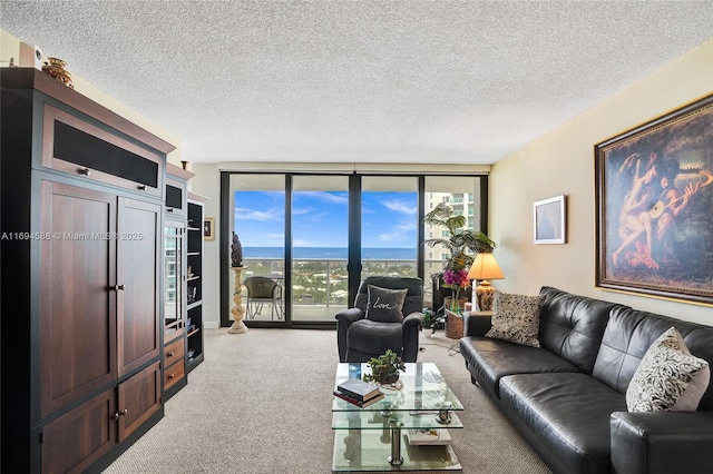 carpeted living room with floor to ceiling windows and a textured ceiling