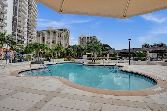 view of swimming pool featuring a patio area