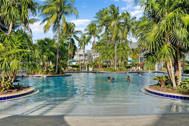 view of swimming pool