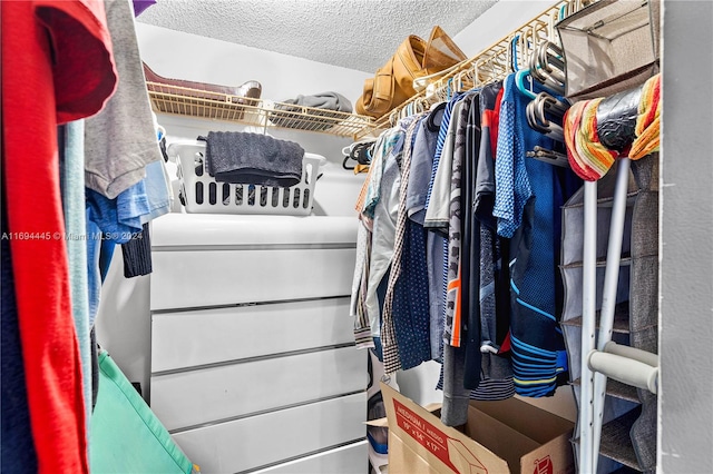 view of walk in closet