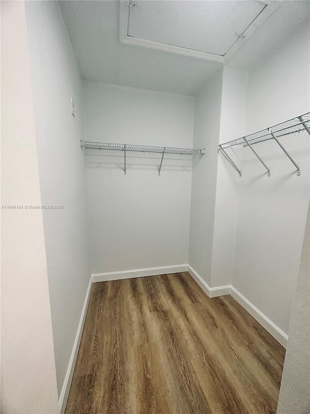 walk in closet featuring hardwood / wood-style flooring