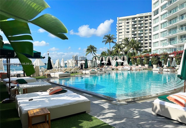 view of pool featuring a patio