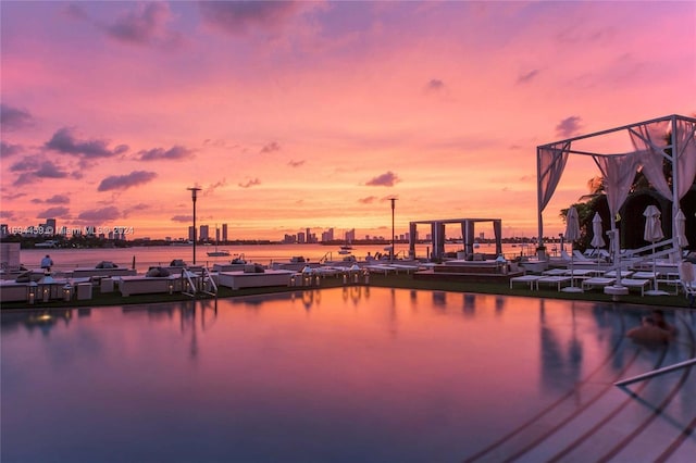 water view featuring a boat dock