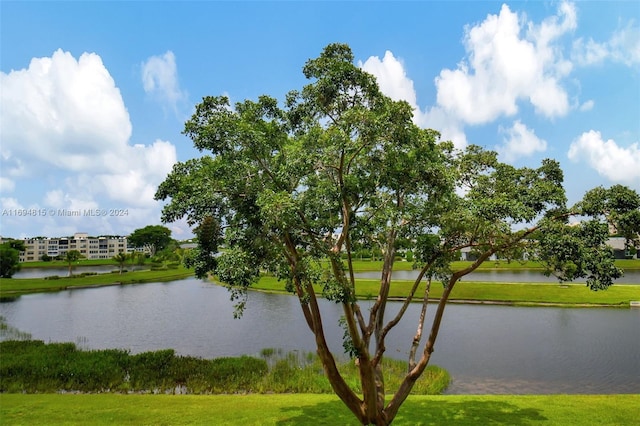 property view of water