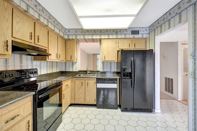 kitchen featuring light brown cabinets, sink, and black appliances