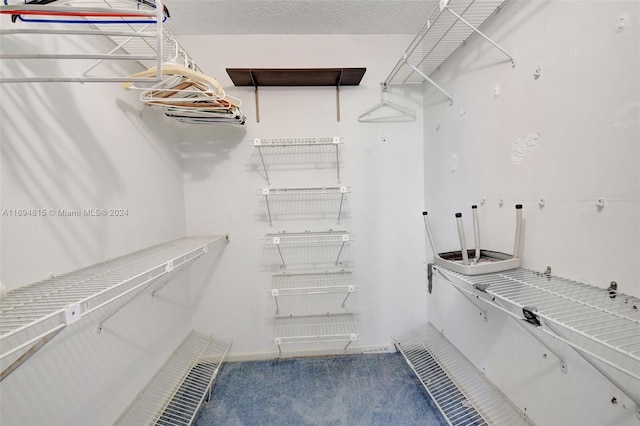 spacious closet featuring carpet flooring