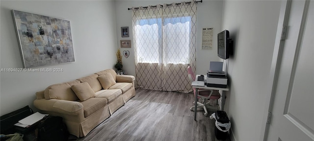 living room with hardwood / wood-style floors