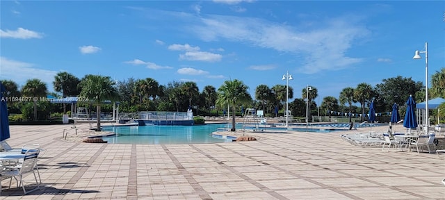 view of swimming pool with a patio area