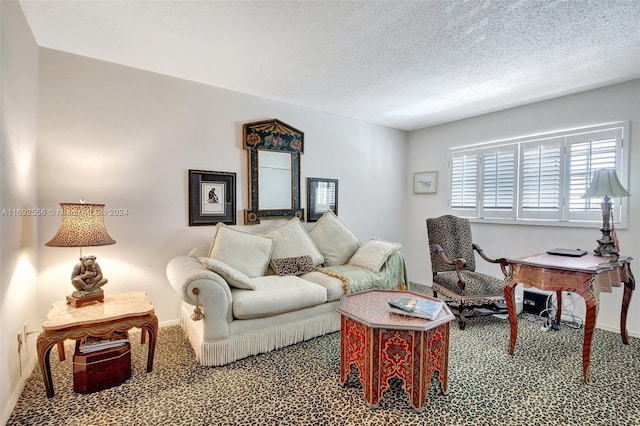 carpeted living room featuring a textured ceiling