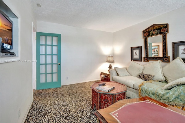 carpeted living room with a textured ceiling