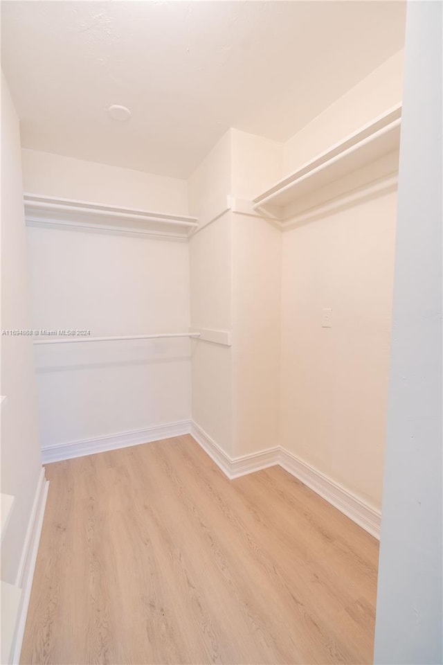 spacious closet featuring wood-type flooring