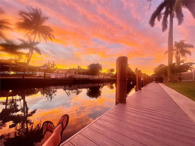 dock area featuring a water view