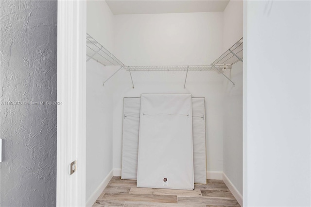 walk in closet with light wood-type flooring