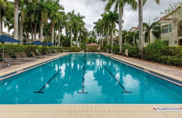 view of swimming pool with a patio area