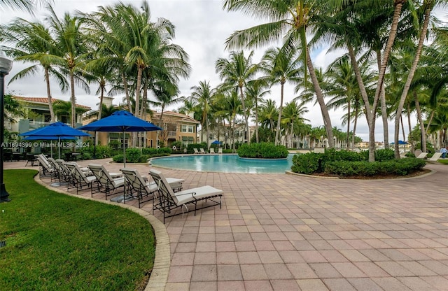 view of pool featuring a patio area