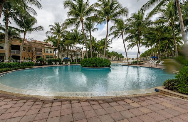 view of pool featuring a patio area