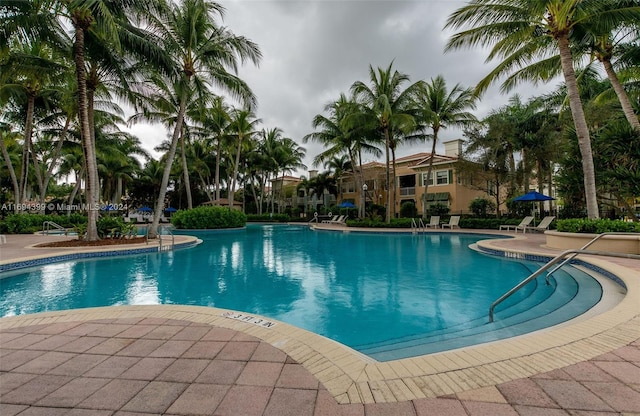 view of swimming pool featuring a patio area