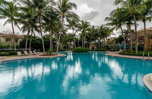 view of swimming pool with a patio