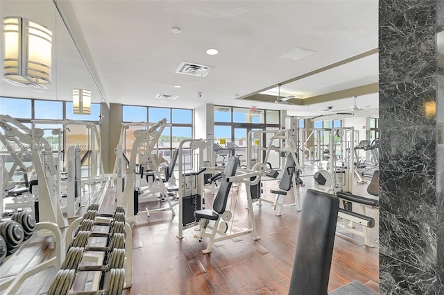 workout area with hardwood / wood-style flooring, expansive windows, and ceiling fan