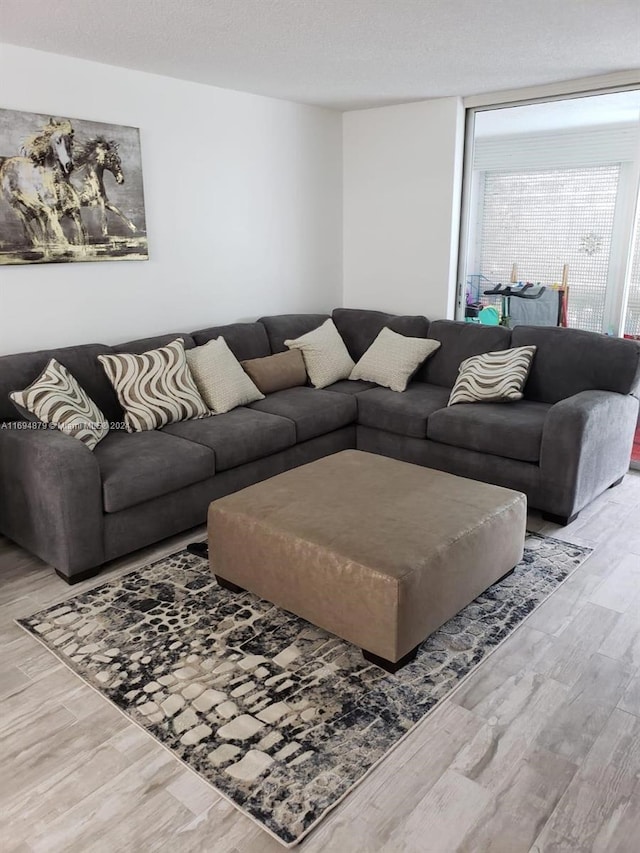 living room featuring a textured ceiling and hardwood / wood-style flooring