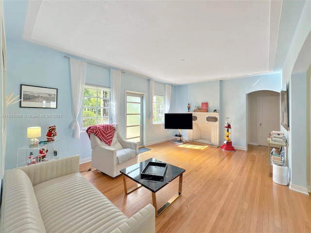 living room with light hardwood / wood-style floors