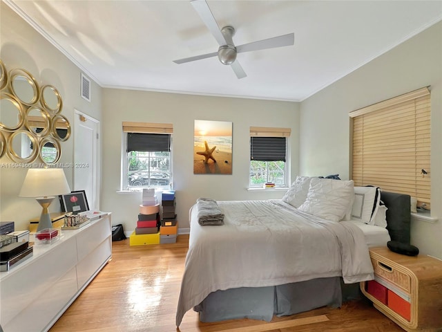 479 NE 56th St, Miami, FL 33137 - photo 13