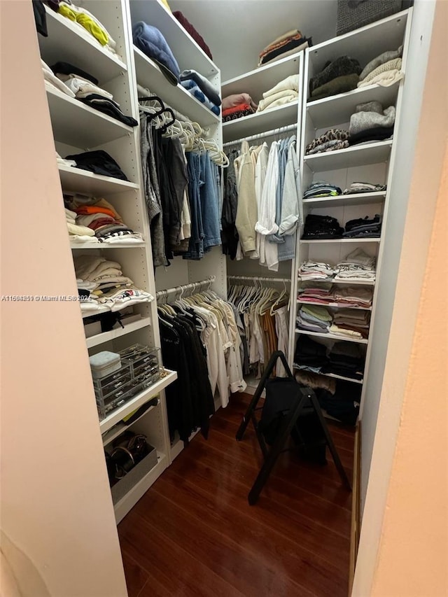 walk in closet with dark hardwood / wood-style floors