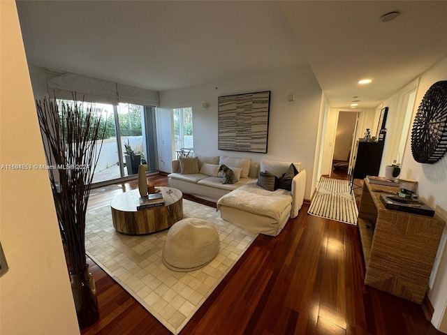 living room with hardwood / wood-style flooring