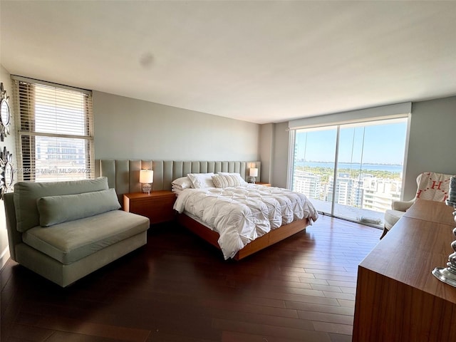 bedroom featuring access to exterior, multiple windows, and dark wood-type flooring