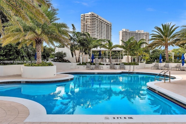 view of swimming pool with a patio area