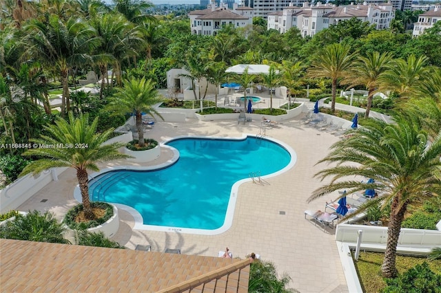 view of pool with a patio area