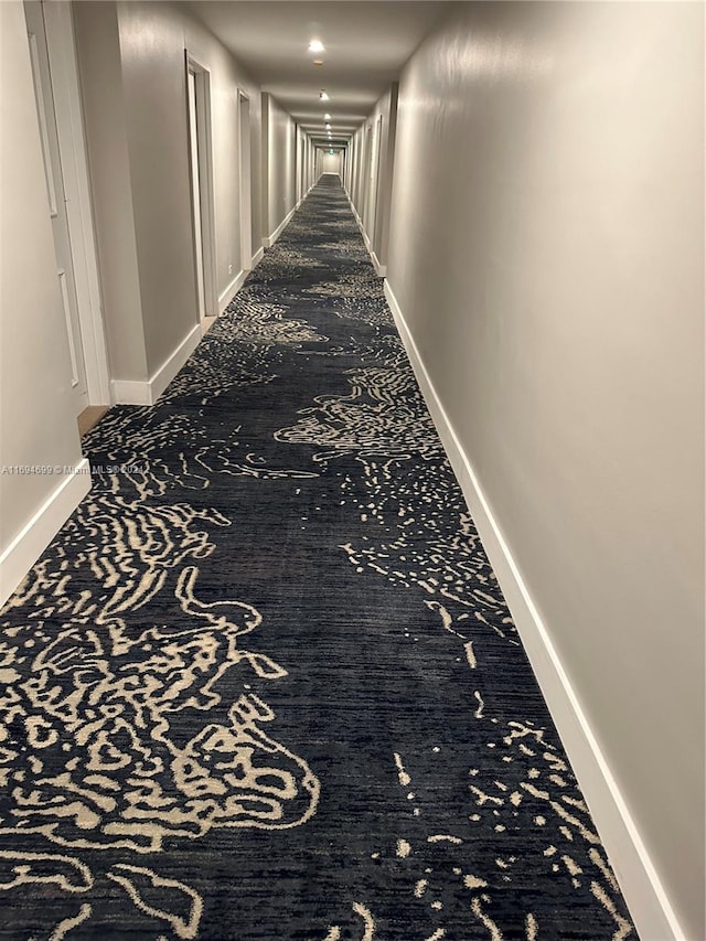 hallway featuring carpet floors