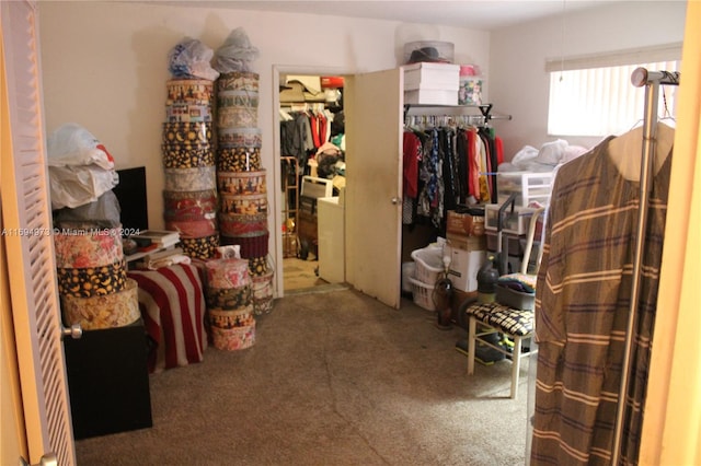 spacious closet with carpet